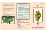 Manjari-Naveen:Layout 1.qxd - National Research Centre for Grapes