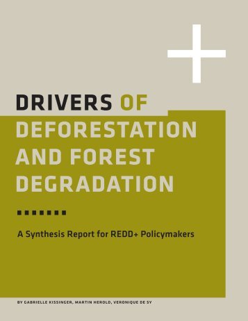 Drivers of Deforestation and Forest Degradation: A ... - Gov.uk