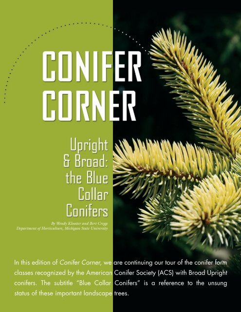 Conifer Corner - Department of Horticulture - Michigan State University