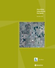 Original 2030 Comprehensive Plan - Blaine, Minnesota