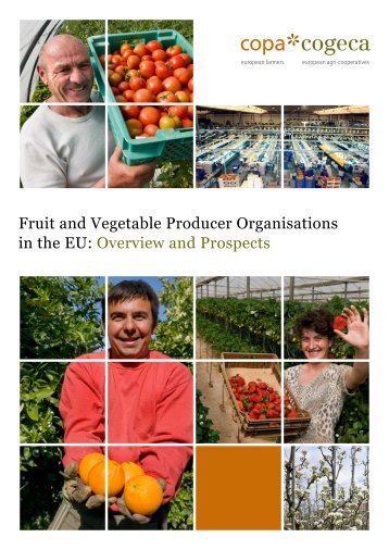 Fruit and Vegetable Producer Organisations in the EU - Copa-Cogeca