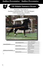 2013_stallions_web.pdf 1.3 MB - Buckeyemorganhorsesale.net