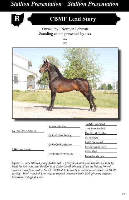 2013_stallions_web.pdf 1.3 MB - Buckeyemorganhorsesale.net