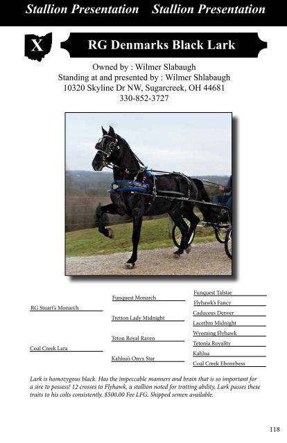 2013_stallions_web.pdf 1.3 MB - Buckeyemorganhorsesale.net