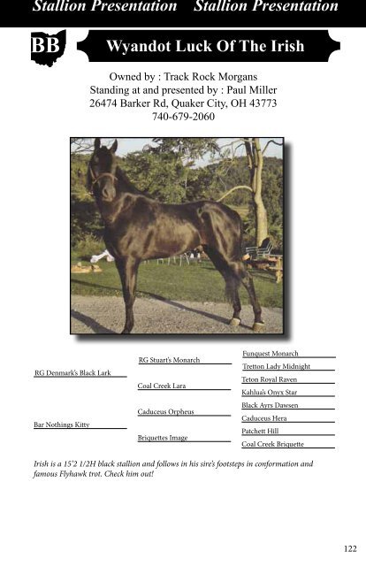 2013_stallions_web.pdf 1.3 MB - Buckeyemorganhorsesale.net