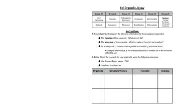 Cell Organelle Jigsaw - Century Life Science