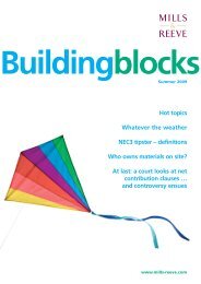 Building Blocks - Summer 2009 - Mills & Reeve