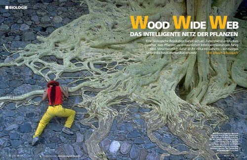 biologie wood wide web das intelligente netz der pflanzen - LINV