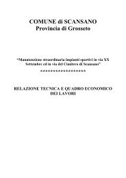 COMUNE di SCANSANO Provincia di Grosseto