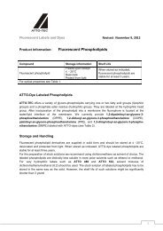 Fluorescent Phospholipids - ATTO-TEC GmbH