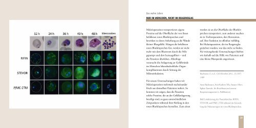 2010/2011 (deutsch) - Bernhard-Nocht-Institut fÃ¼r Tropenmedizin