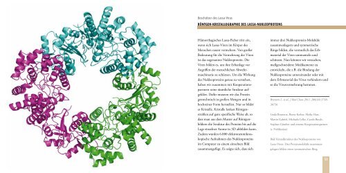 2010/2011 (deutsch) - Bernhard-Nocht-Institut fÃ¼r Tropenmedizin