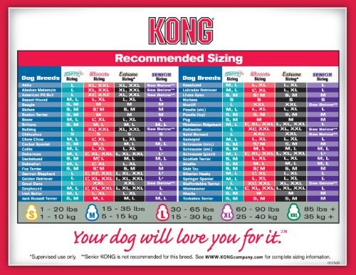 Kong Chart