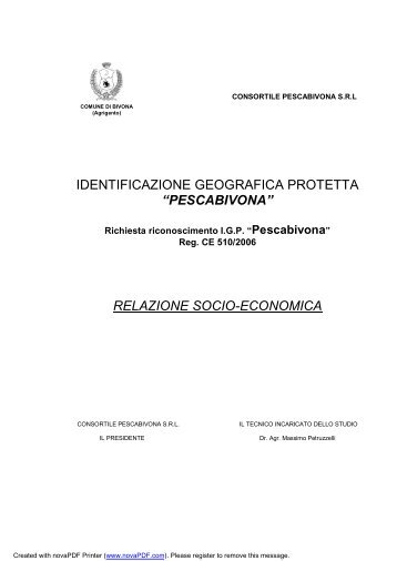 relazione socio-economica - Comune.bivona.ag.it