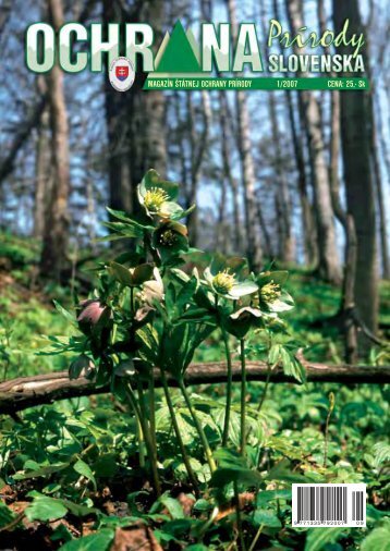 Stiahni (1.3 MB - pdf)