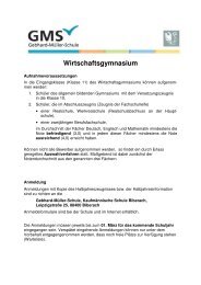 Informationsblatt Wirtschaftsgymnasium - Gebhard MÃ¼ller Schule