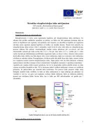 Metodika rekapilarizÄcijas laika mÄrÄ«jumiem - Biofotonikas pÄtÄ«jumu ...