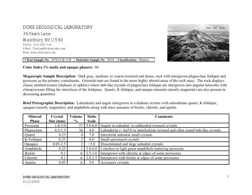 Sample Igneous Report