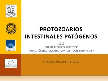 protozoos patògenos primarios