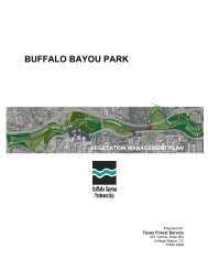 Buffalo Bayou Park Vegetation Management Plan (PDF)