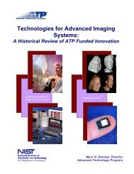 Technologies for Advanced Imaging Systems: A Historical Review of ...