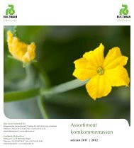 Assortiment komkommerrassen - Rijk Zwaan