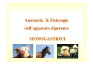 12. Apparato digerente monogastrici .pdf