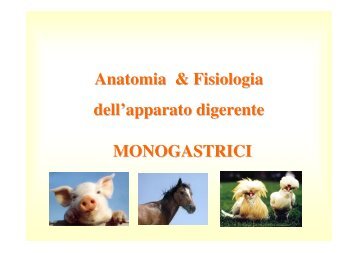 12. Apparato digerente monogastrici .pdf