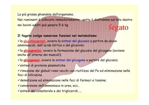 12. Apparato digerente monogastrici .pdf