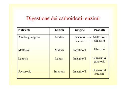 12. Apparato digerente monogastrici .pdf