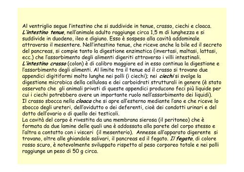 12. Apparato digerente monogastrici .pdf