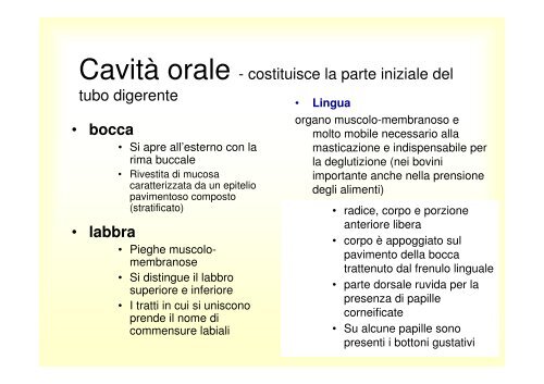 12. Apparato digerente monogastrici .pdf