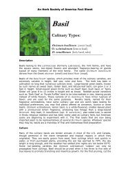 Basil - An Herb Society Of America Fact Sheet - The Herb Society of ...