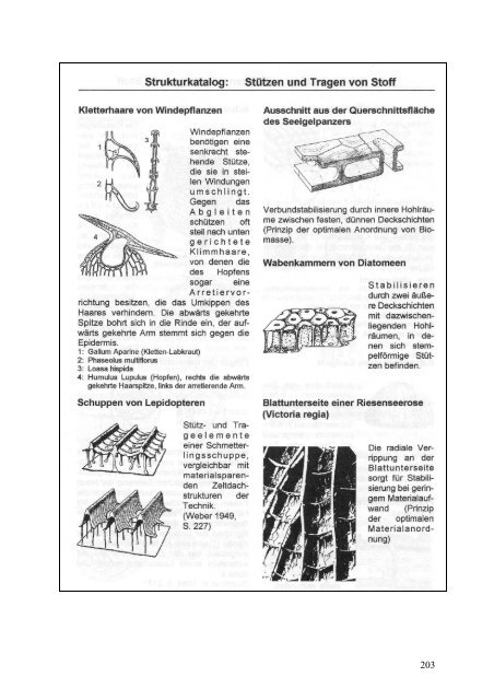 LeiKom-Handbuch Produkt Instrumente zur Entwick- lung - IfG