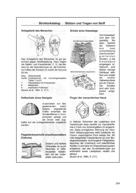 LeiKom-Handbuch Produkt Instrumente zur Entwick- lung - IfG