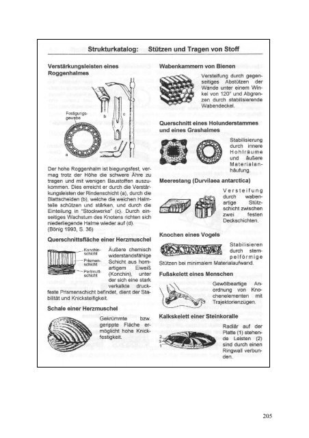 LeiKom-Handbuch Produkt Instrumente zur Entwick- lung - IfG