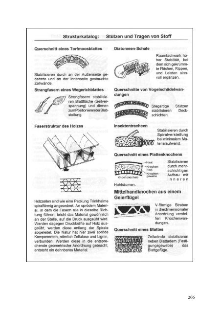 LeiKom-Handbuch Produkt Instrumente zur Entwick- lung - IfG