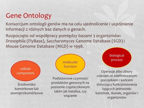 Gene set enrichment