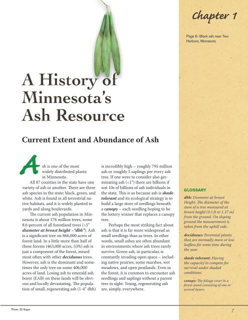 Ash Management Guide for Private Forest Landowners