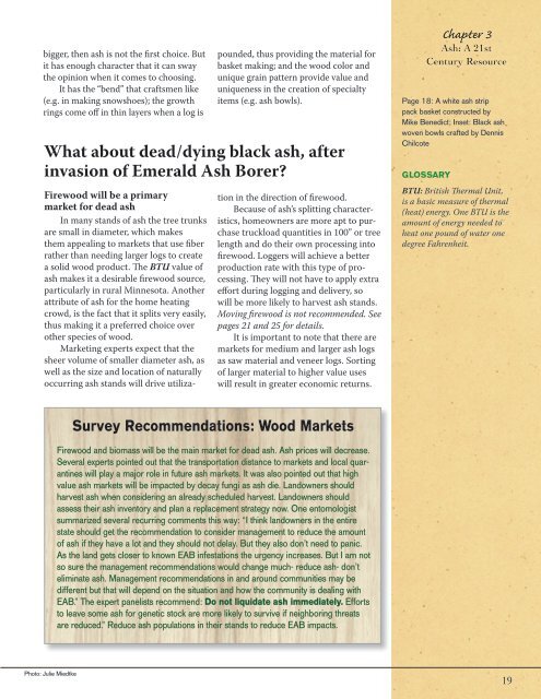 Ash Management Guide for Private Forest Landowners