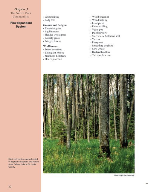 Ash Management Guide for Private Forest Landowners