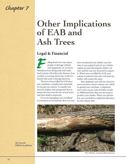 Ash Management Guide for Private Forest Landowners