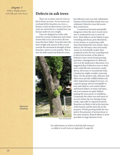 Ash Management Guide for Private Forest Landowners