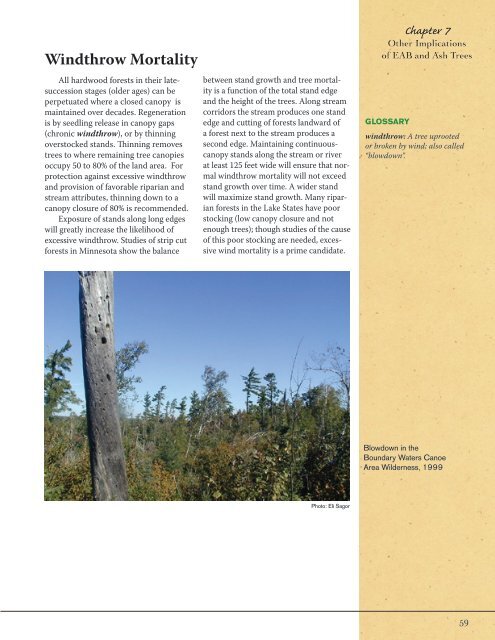 Ash Management Guide for Private Forest Landowners