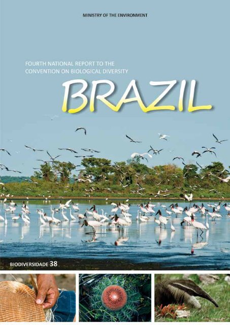 Pelagic copepod diversity (Crustacea: Copepoda) in the Southern Caribbean:  evidence of a pending assignment - Revista Mexicana de Biodiversidad