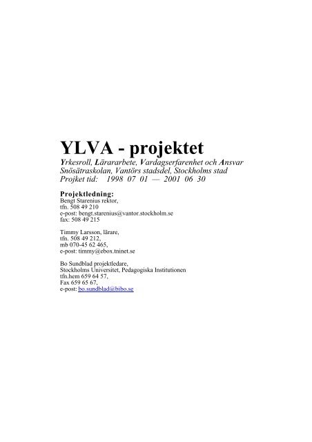 YLVA - projektet Yrkesroll, Lärararbete, Vardagserfarenhet och - Bibo