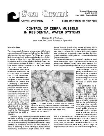 Control of Zebra Mussels in Residential Water Systems