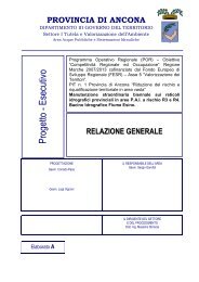 relazione - Provincia di Ancona