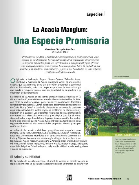Una Especie Promisoria - Revista El Mueble y La Madera