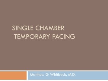 SINGLE CHAMBER TEMPORARY PACING - Wildcat EM